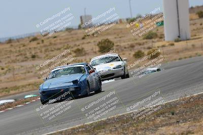 media/May-03-2025-Lucky Dog Racing (Sat) [[206de64b9d]]/Turn 6 (150pm-230pm)/